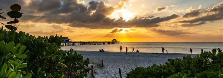 Skandy Accident Injury Centers – Tampa in Florida