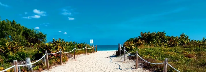 Skandy Accident Injury Centers – Sarasota in Sarasota FL