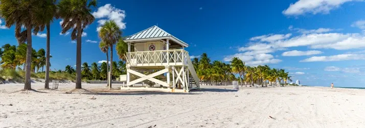 Skandy Spine and Specialists: Personal Injury St. Petersburg FL