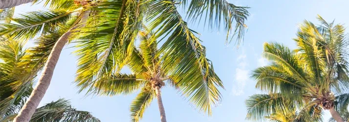 Skandy Accident Injury Centers – Trinity in Trinity FL